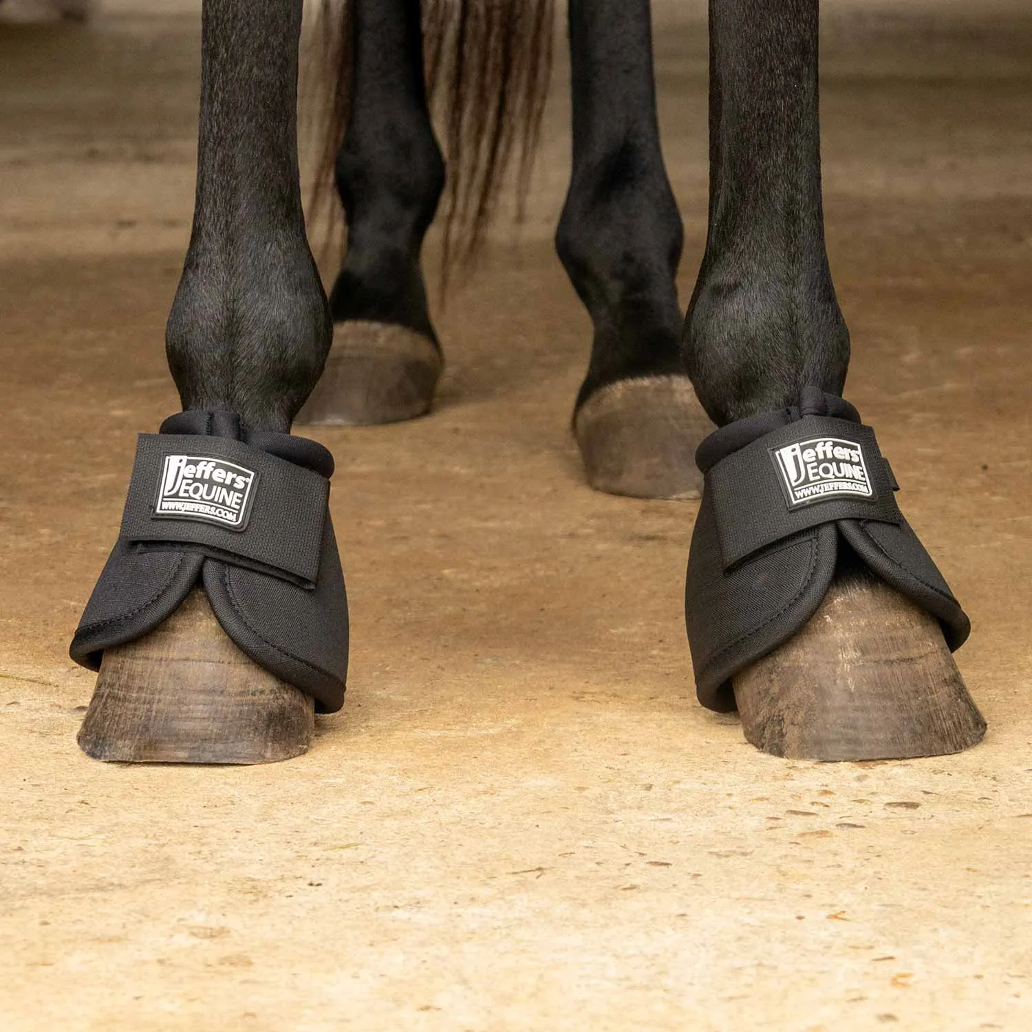 Jeffers Bell Boots for Horses